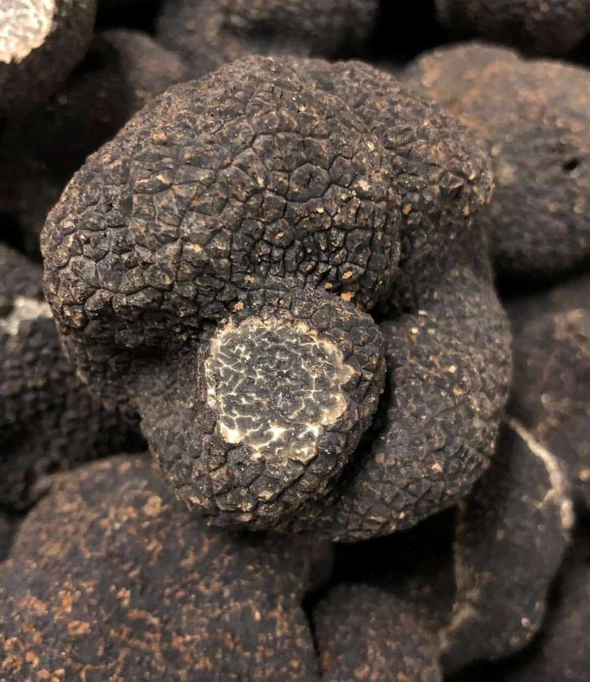 View details for Fresh Winter Black Truffles (Périgord) Fresh Winter Black Truffles