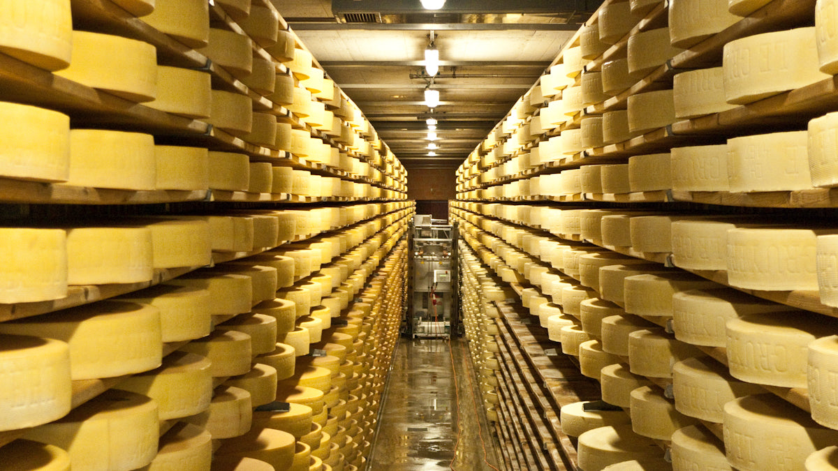 Al-pining for Adventure: A Journey through Swiss Cheese, Part I