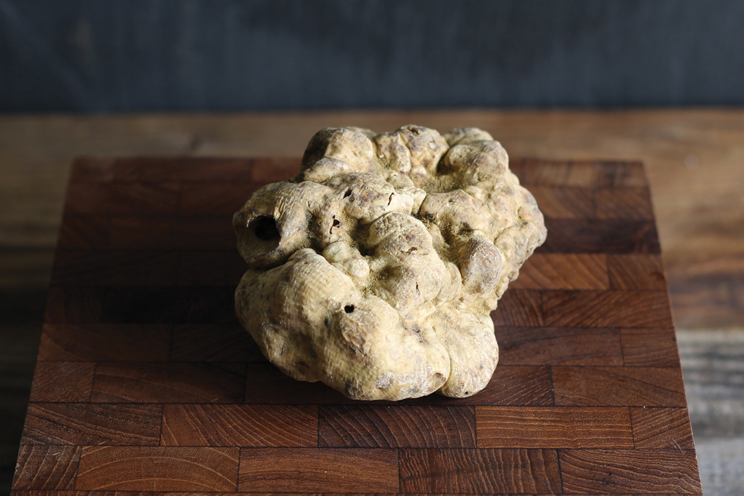 How To Preserve A Fresh Truffle