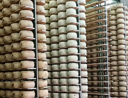 The House of Cheese Goes 'Round the World