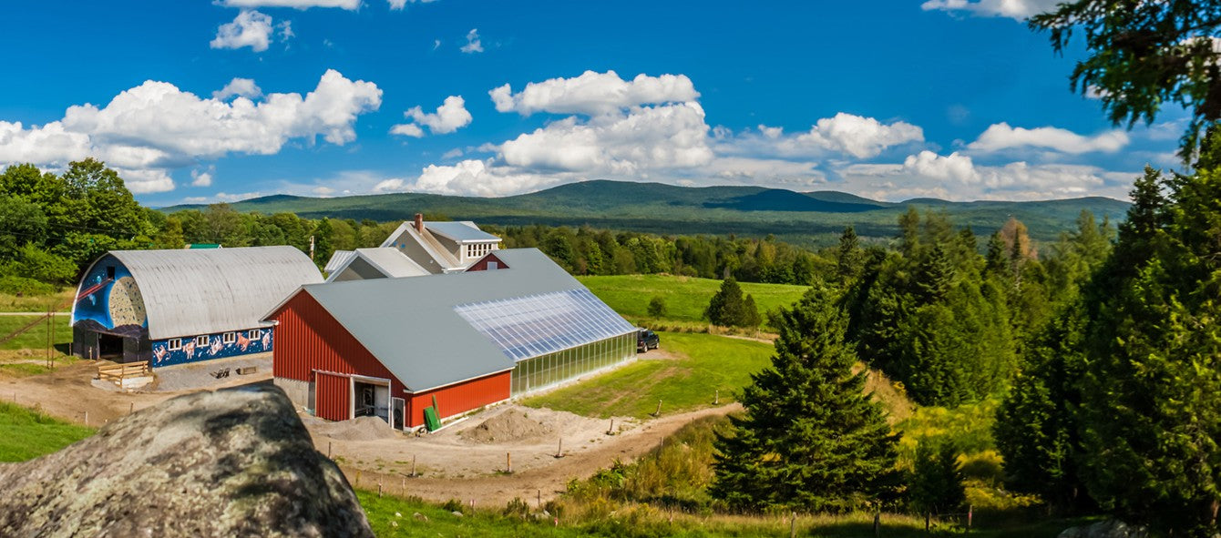 American Originals | Jasper Hills Farm Creamery