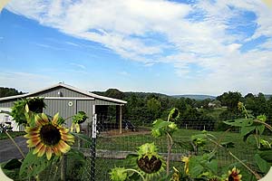 Amazing Acres Goat Dairy:  Q & A with Cheese Makers Will and Lynne Reid