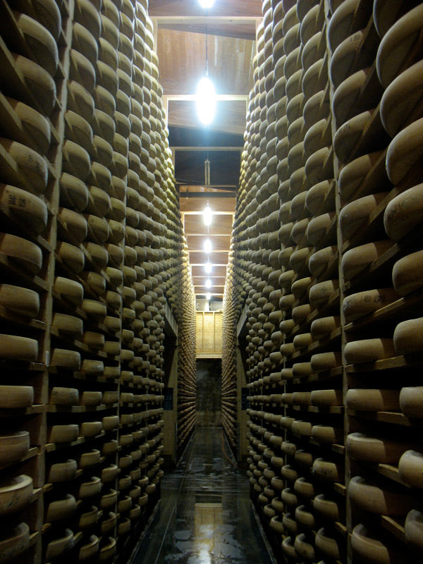 The Fascinating Comté Museum of Fort Lucotte