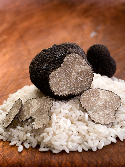 Truffles 101: The Elusive Fungus