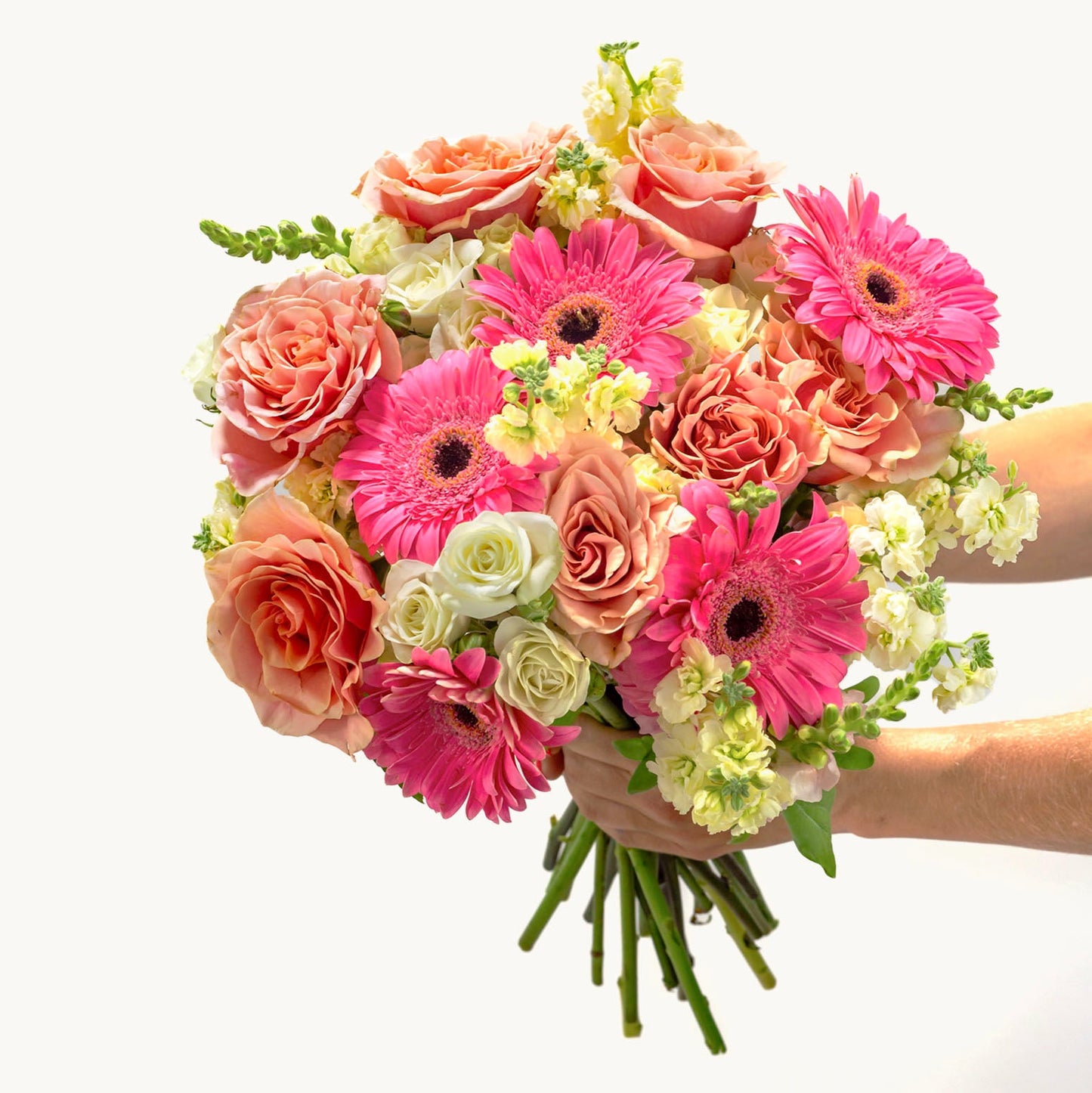 Among the Wildflowers