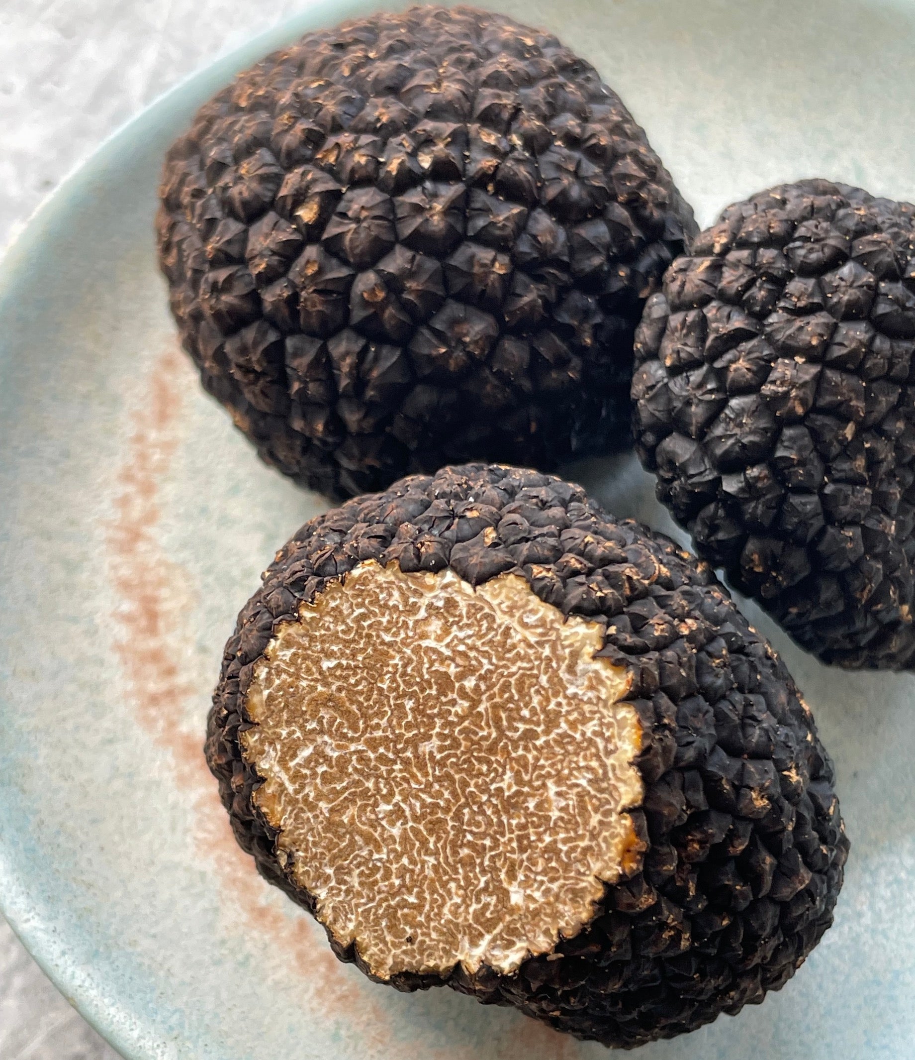 Burgundy Truffle (Tuber uncinatum)