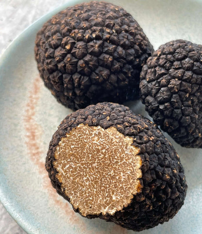 Burgundy Truffle