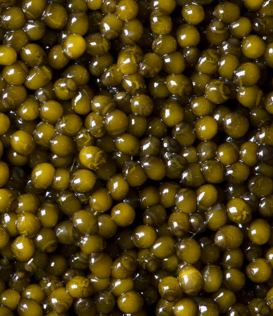 Amber Kaluga Caviar