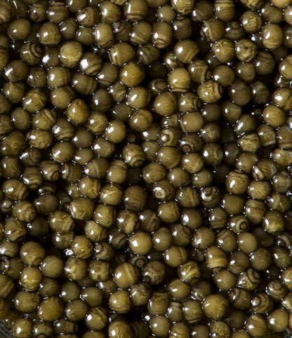 Osetra Noir Caviar