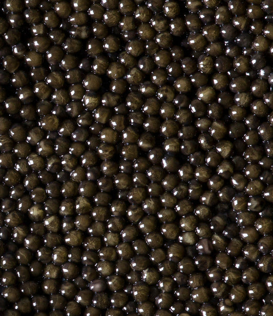 Siberian Sturgeon Baerii Caviar