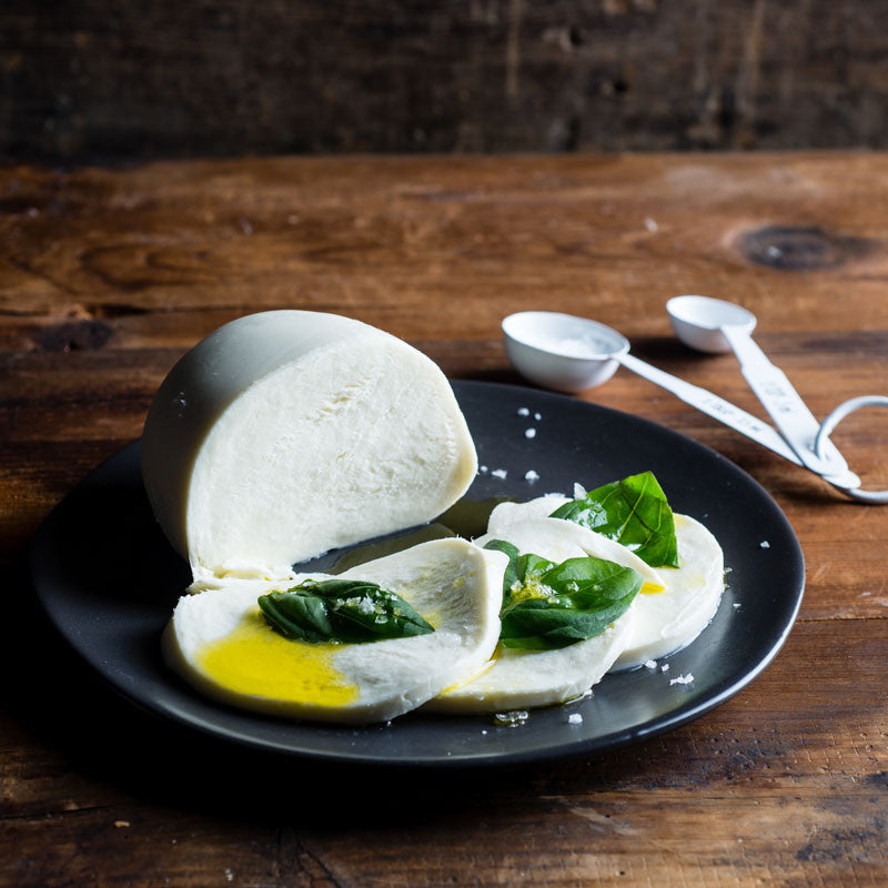 Fresh Mozzarella Ball 16-Ounce