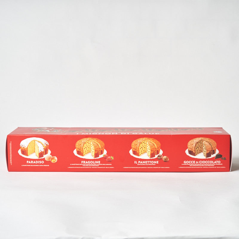 Galup 4-Pack Mini Panettone