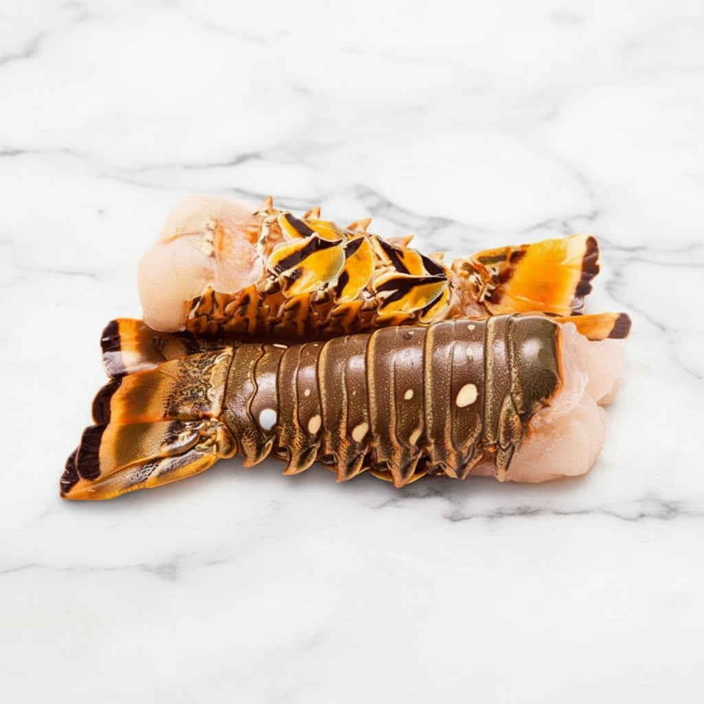 Warm-Water Caribbean Fresh Lobster Tails on a white plate served with rice, featuring tender, cooked lobster meat.