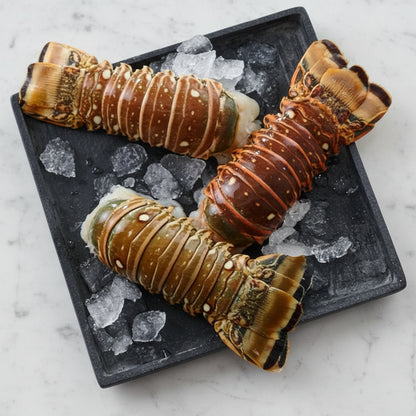 Warm-Water Caribbean Fresh Lobster Tails on a white plate served with rice, featuring tender, cooked lobster meat.