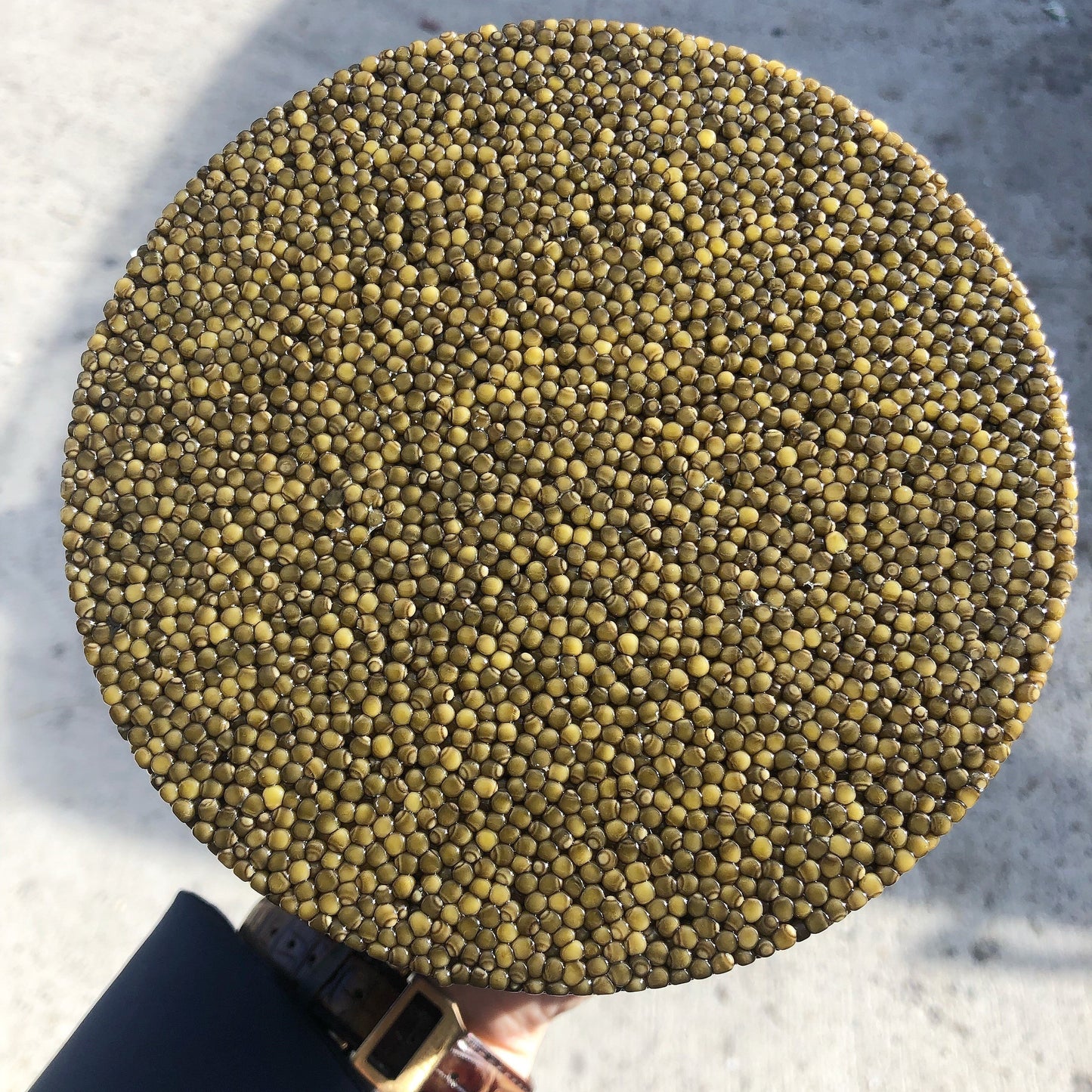 Golden Kaluga Caviar