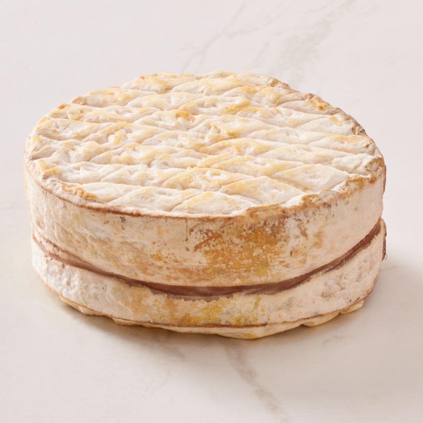 Round cheese with a textured surface on a light background