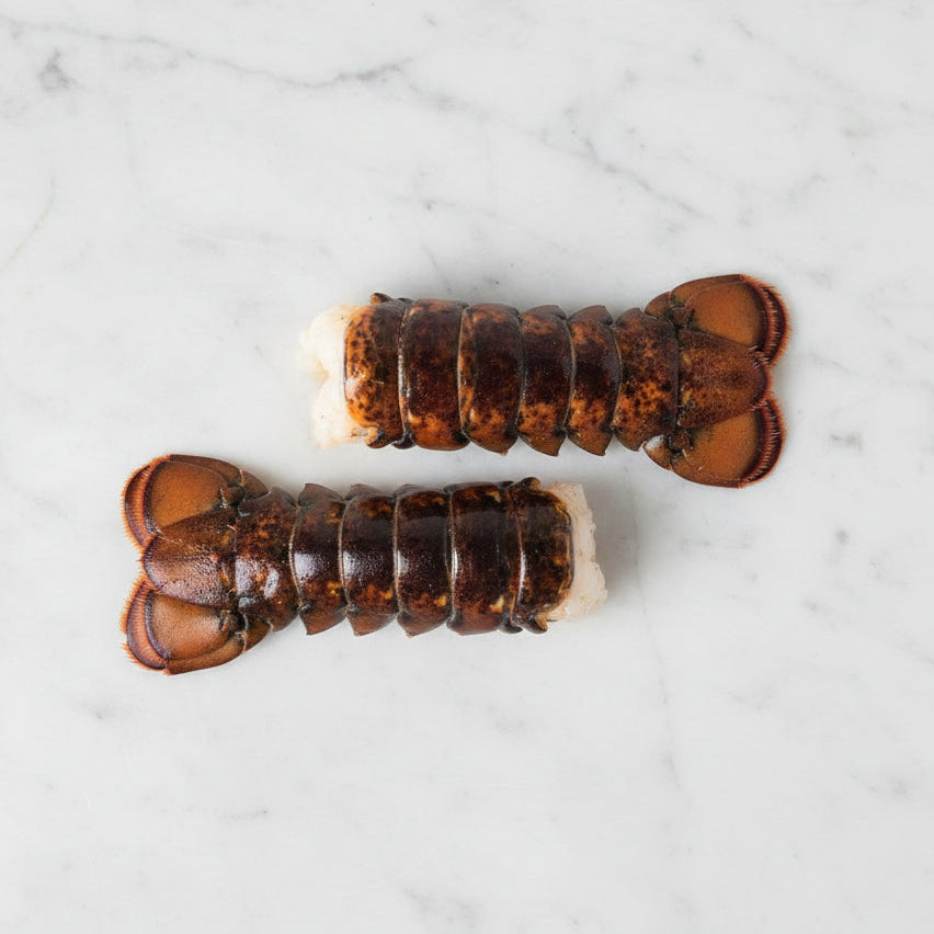 Warm-Water Caribbean Fresh Lobster Tails