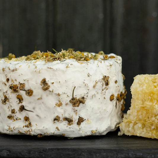 Round white cheese with herbs next to honeycomb on a dark background