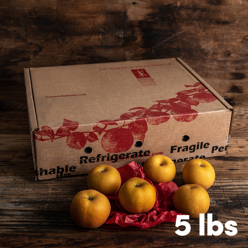 Fresh Medium Asian Pear Gift Box