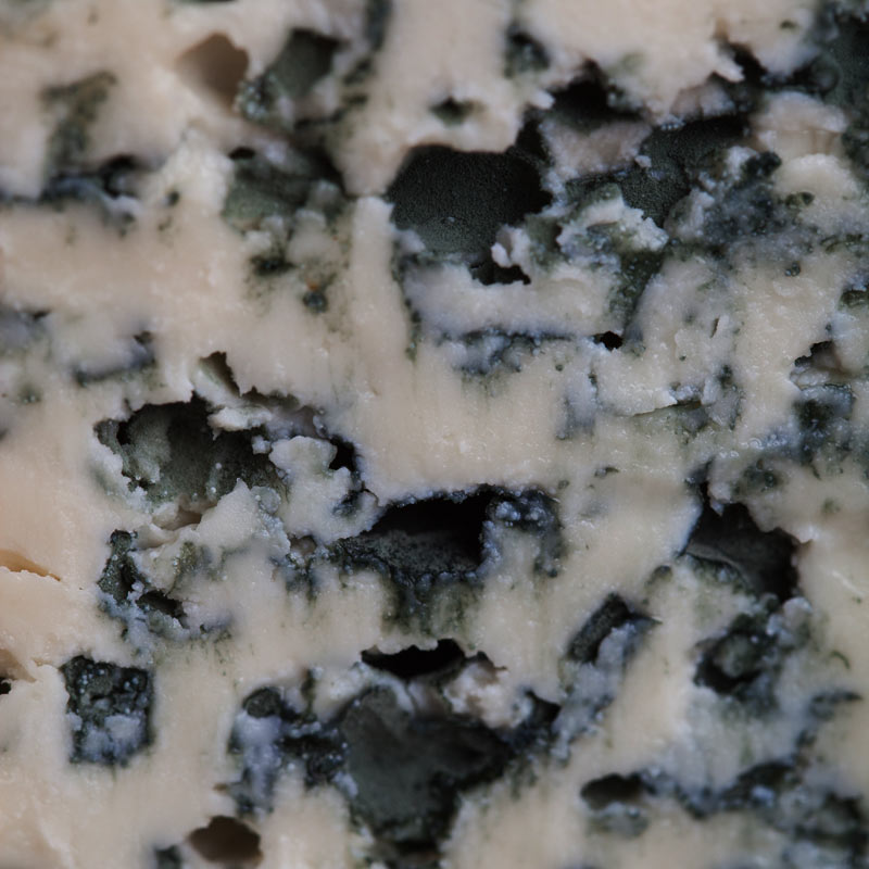 Roquefort Blue Cheese