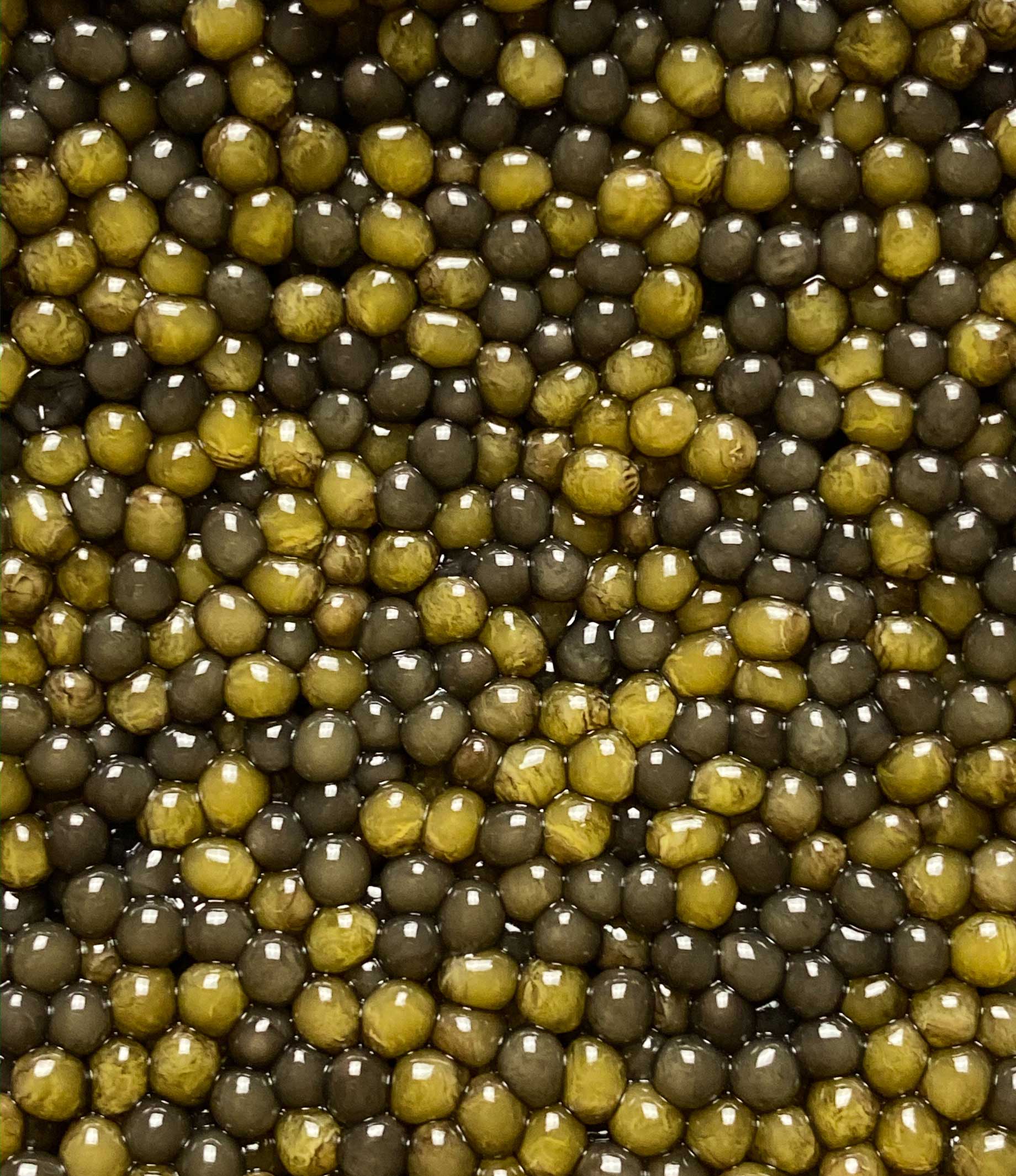 Two-Tone Osetra Caviar