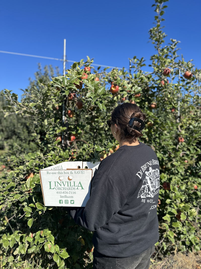 Linvilla Orchards x Di Bruno Bros.