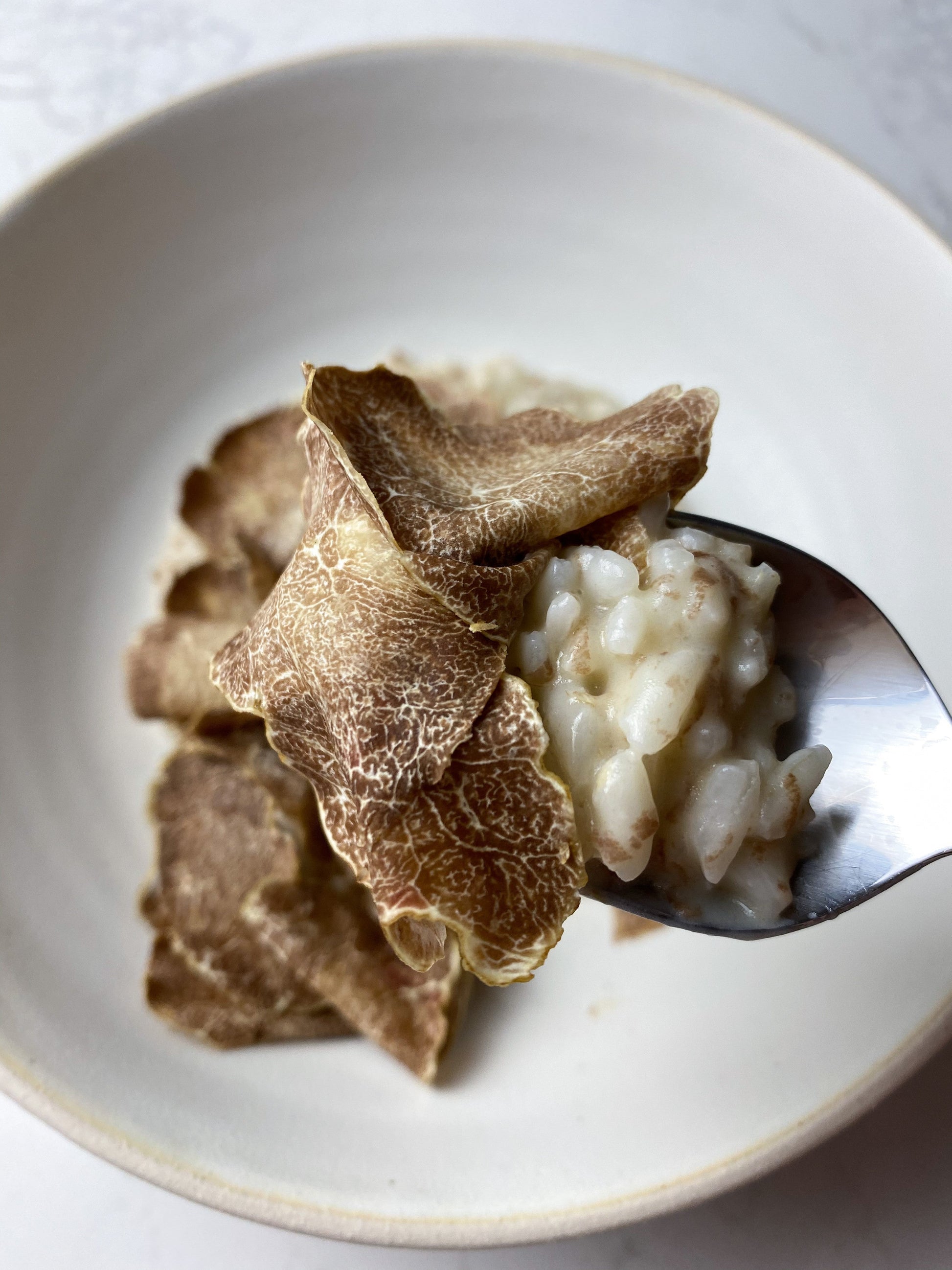 Fresh Winter White Truffles - Medium Size